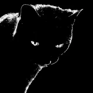 Satrio Aji Glitched Cat